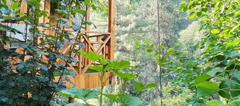 The tree house ghiyagi (Tandi)