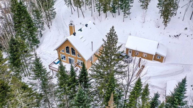 Une cabane à deux étages, dont le toit est recouvert de neige, entourée d’une forêt.