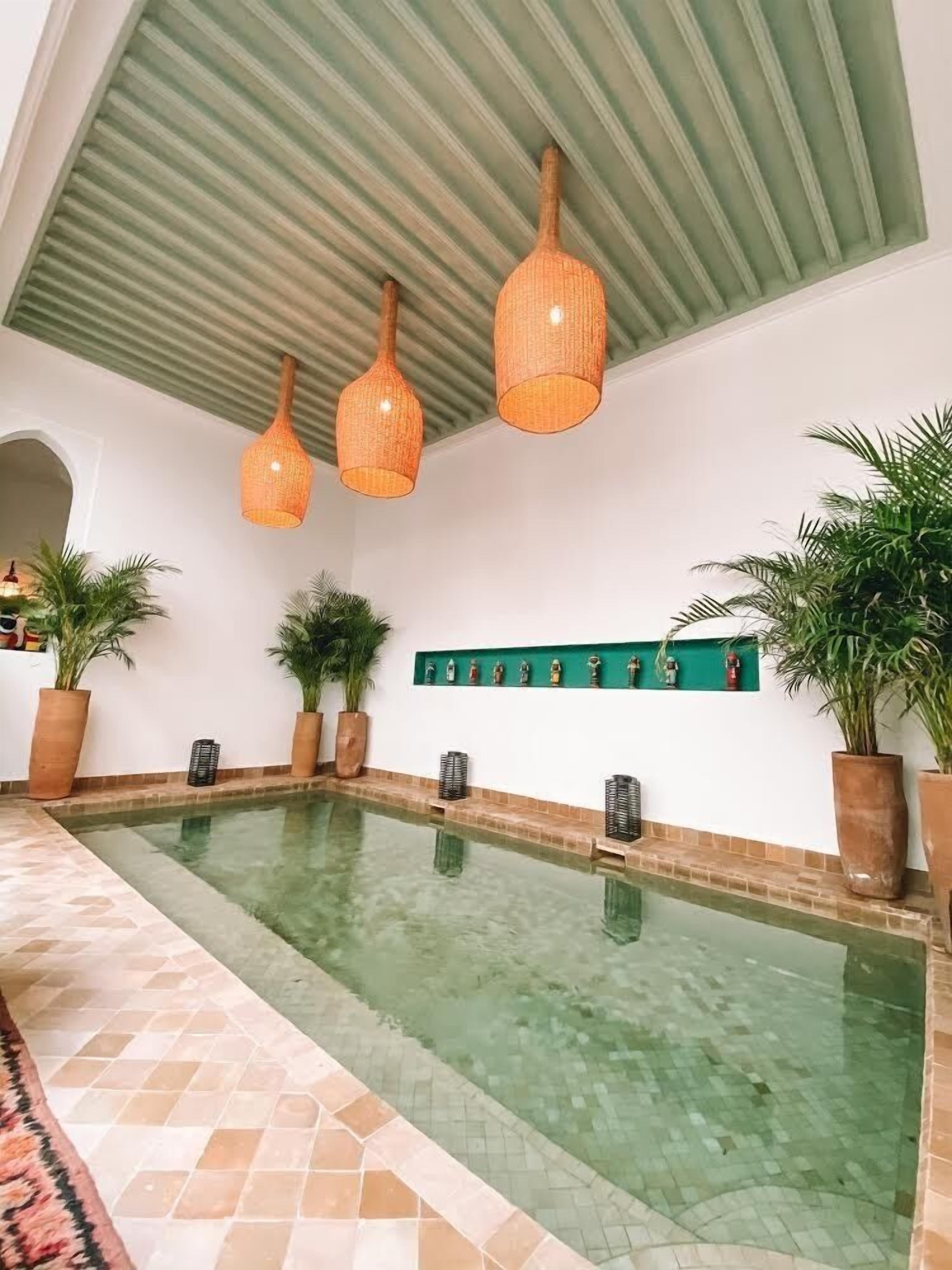 Ein Schwimmbecken mit Fliesenboden, umgeben von Topfpflanzen und einer grünen Wand mit Dekorationselementen.