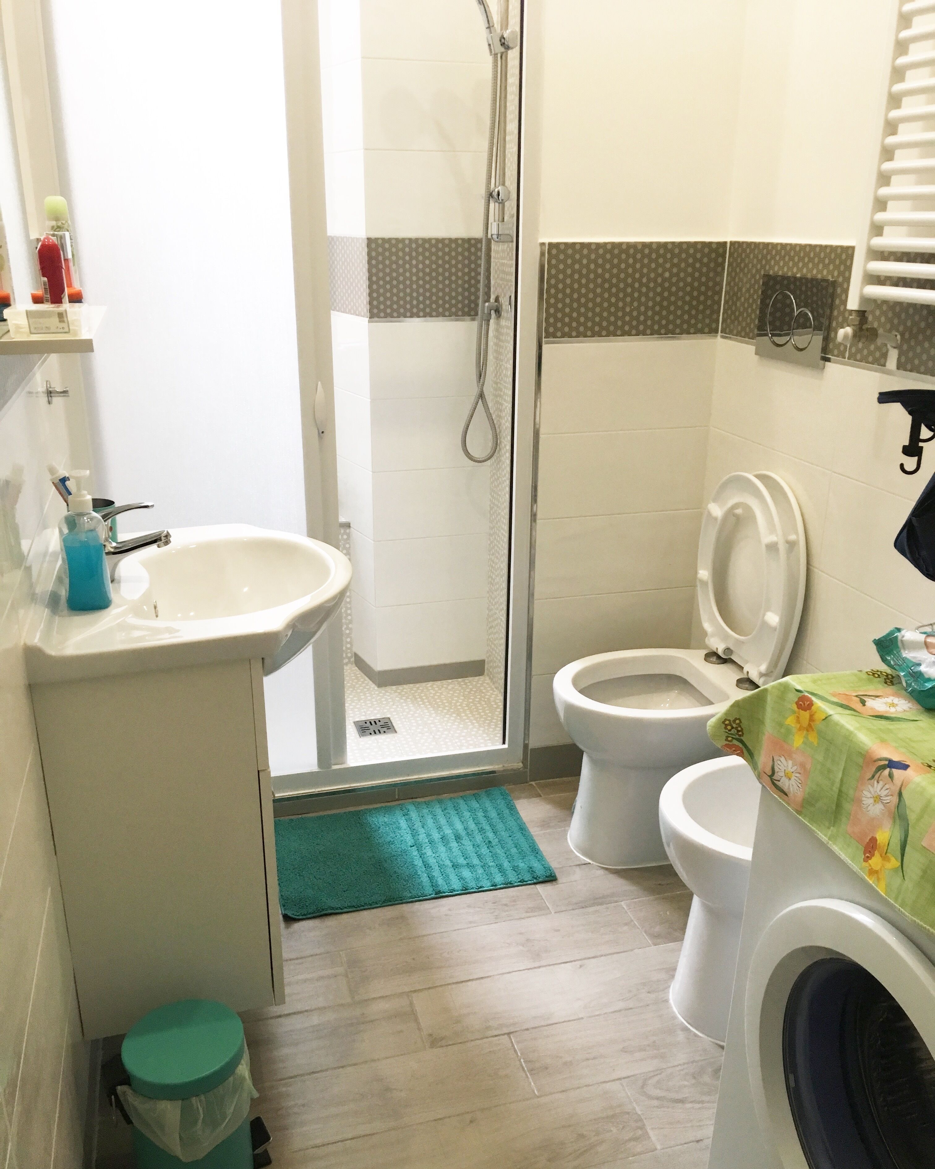 Shower, hair dryer, bidet, towels
