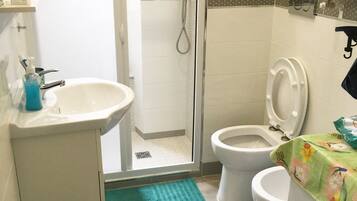 Shower, hair dryer, bidet, towels