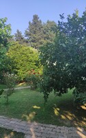 Casa en un árbol clásica | Zona de estar