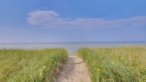 A sandy path leading to a beach with tall grass on either side.