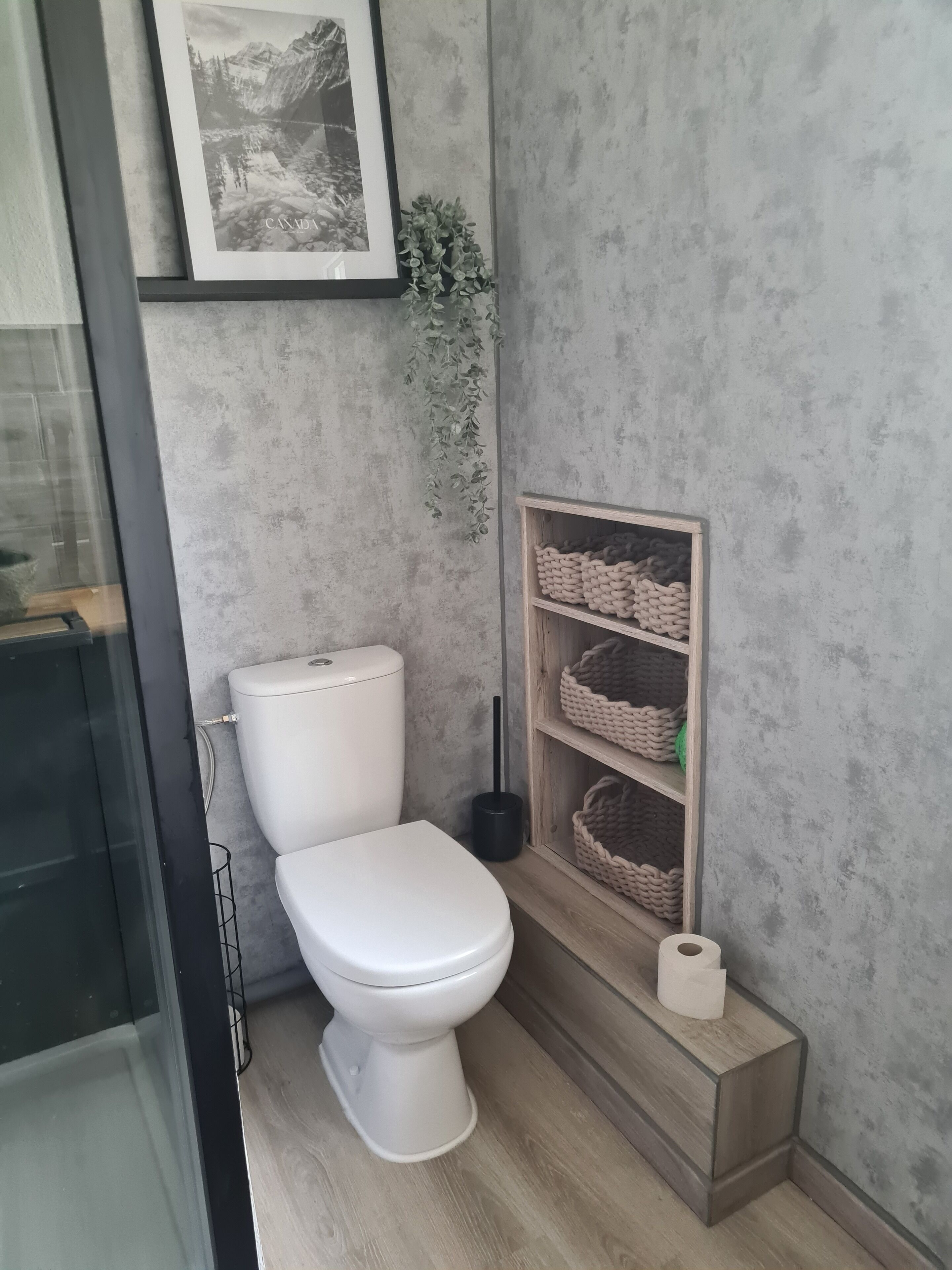 A bathroom with a white toilet, a framed picture of a mountain landscape, a hanging plant, and a shelf with baskets.
