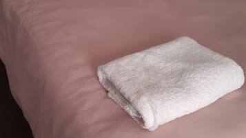 House | 3 bedrooms, iron/ironing board, free WiFi, bed sheets