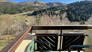 A balcony with a view of a valley, mountains, and a forest.