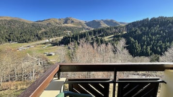 A balcony with a view of a valley, mountains, and a forest.