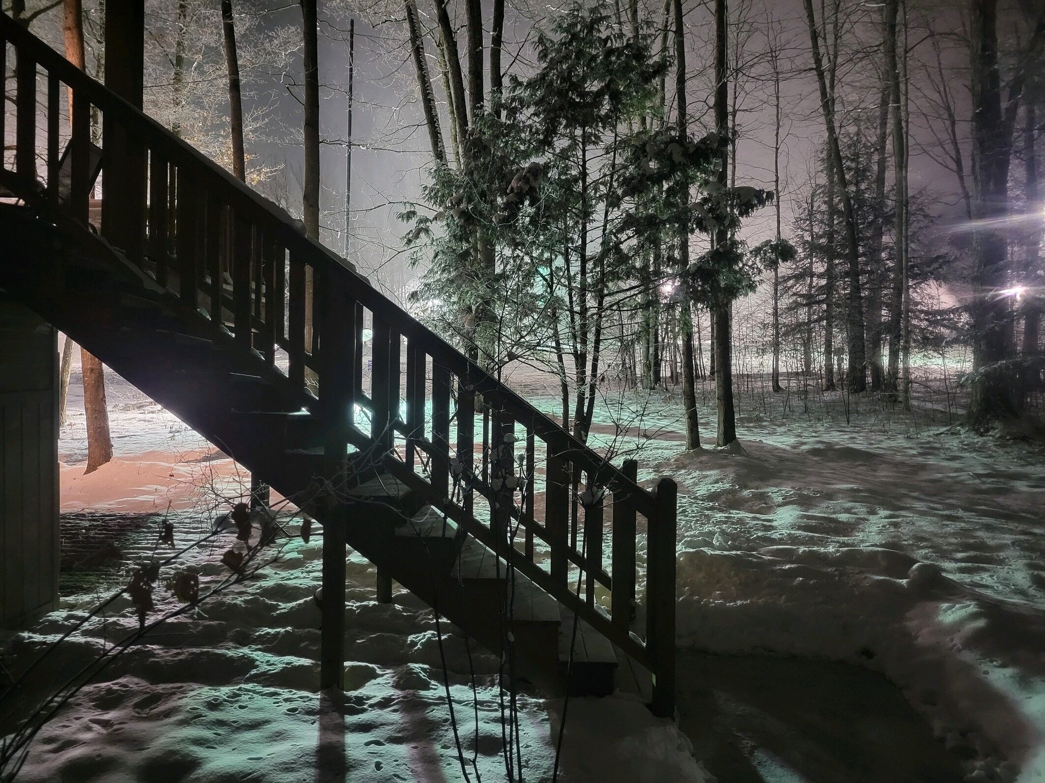A wooden staircase leading to a building in a snowy forest.