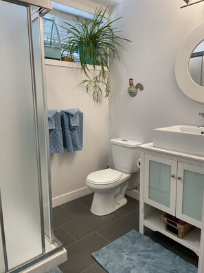 Shower, hair dryer, towels, soap