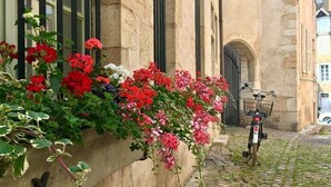 A stone building with a narrow cobblestone path and a bicycle parked outside. - Flat*** near Beaune center, quiet, swimming pool, sauna, golf (Levernois)