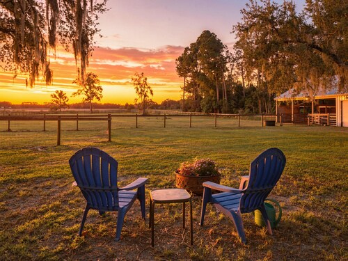 Lakefront Privacy, Inviting Home on Unique Country Property, Minutes to DeLand