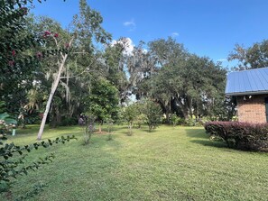 Property grounds - Lakefront Privacy, Inviting Home on Unique Country Property, Minutes to DeLand (DeLand)