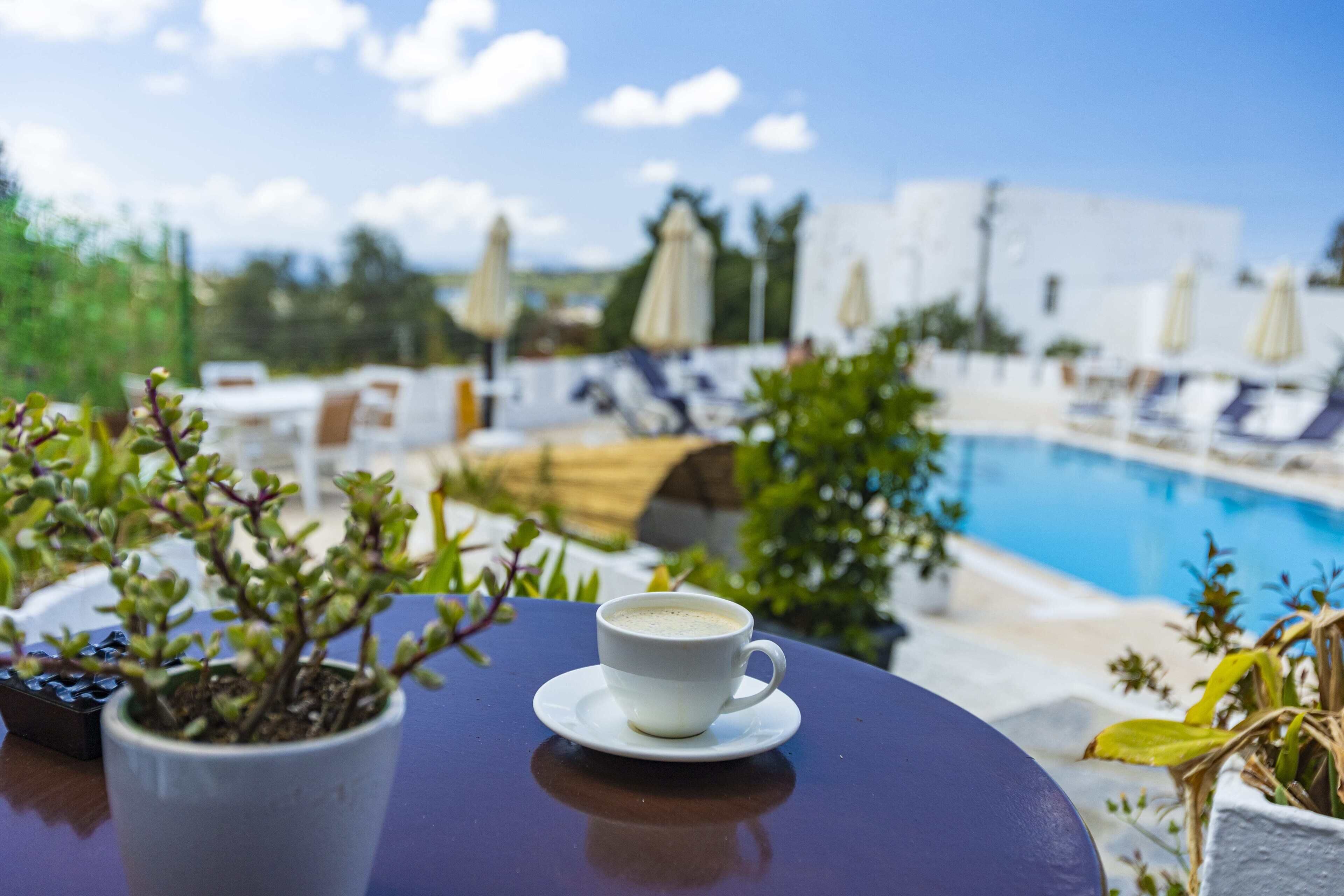 Photo - Bodrum Vera Hotel