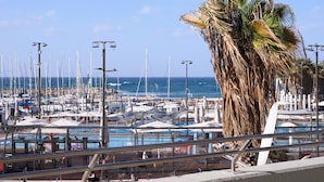 A marina with numerous boats, a large palm tree, and a clear blue sky. - Marina Beach Hotel (Tel Aviv)
