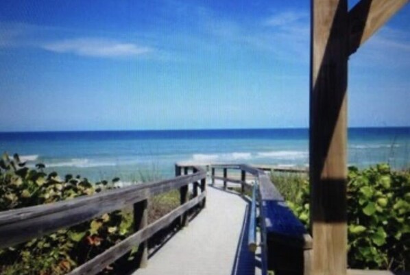 Beach - Savannah Smiles (Sebastian)