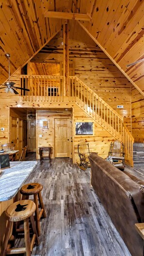 TV connectée, cheminée, livres