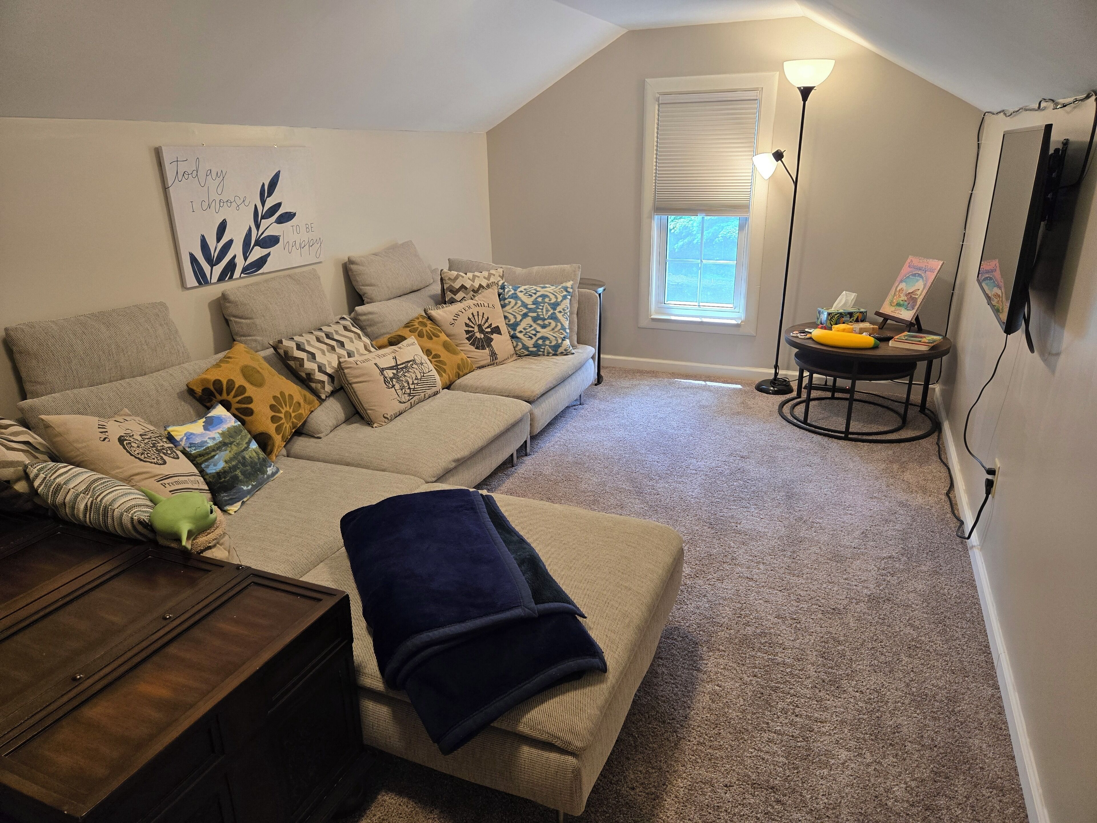 TV, DVD-spiller og stereoanlegg