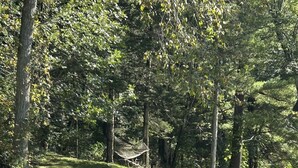 A grassy area with a hammock and a wooden fence. - Be our guest at The Nest!  (Pleasant Valley)