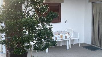 Terras