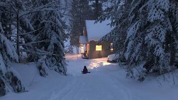 Lumi- ja hiihtourheilulajit