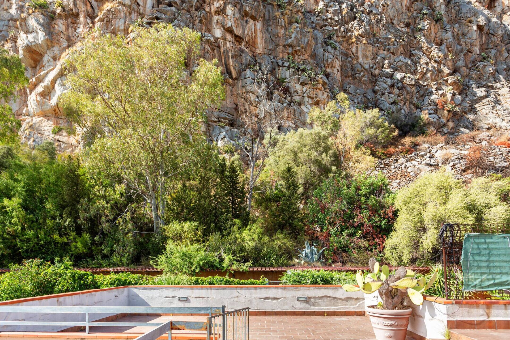 A rooftop garden with a rocky cliff backdrop, potted plants, and a metal railing.