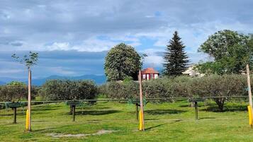 A vineyard with rows of grapevines, a red building in the background, and a clear sky.