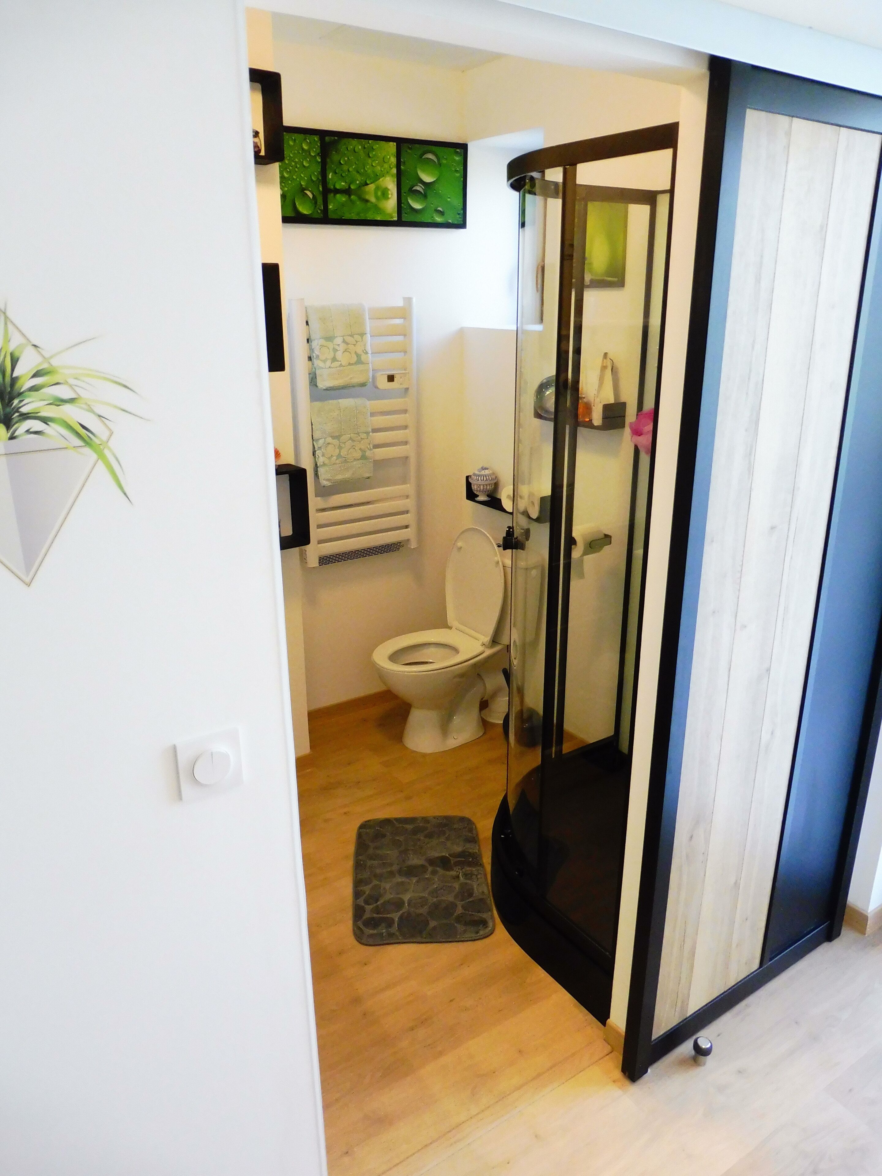 A modern bathroom with a toilet, a glass shower enclosure, a small potted plant, and a wooden floor.