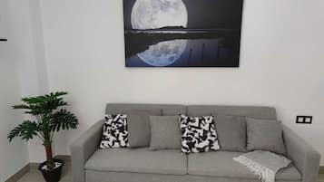 Smart-TV, Kamin