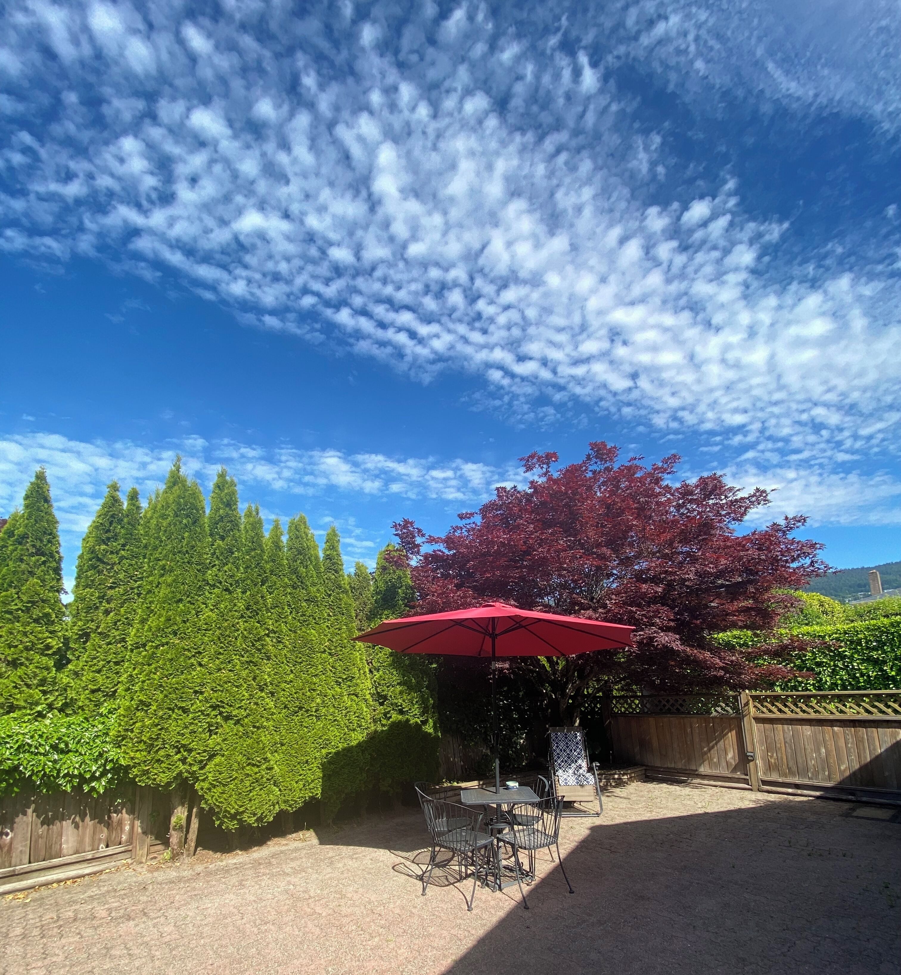 Terras