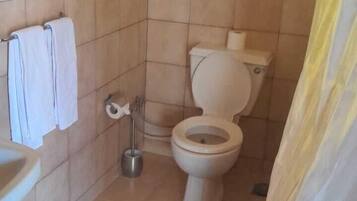 Combined shower/tub, rainfall showerhead