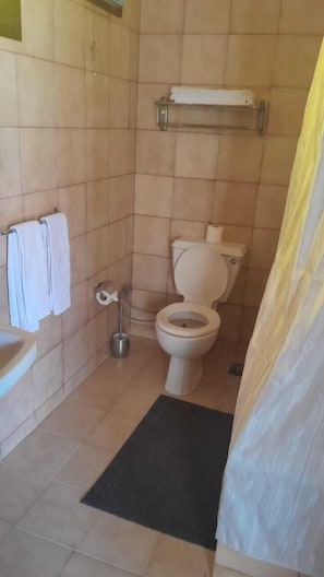 Ducha y bañera combinadas y cabezal de ducha tipo lluvia