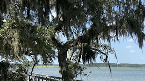 A wooden dock extending into a calm lake, surrounded by lush greenery and a large tree with hanging moss.