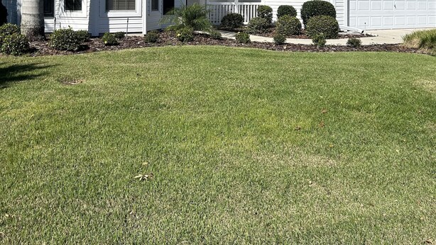 A single-story house with a front porch, a garage, and a well-maintained lawn. - The Villages
Lake Sumpter
Most desirable area 
Golf, pools and music every night (The Villages)