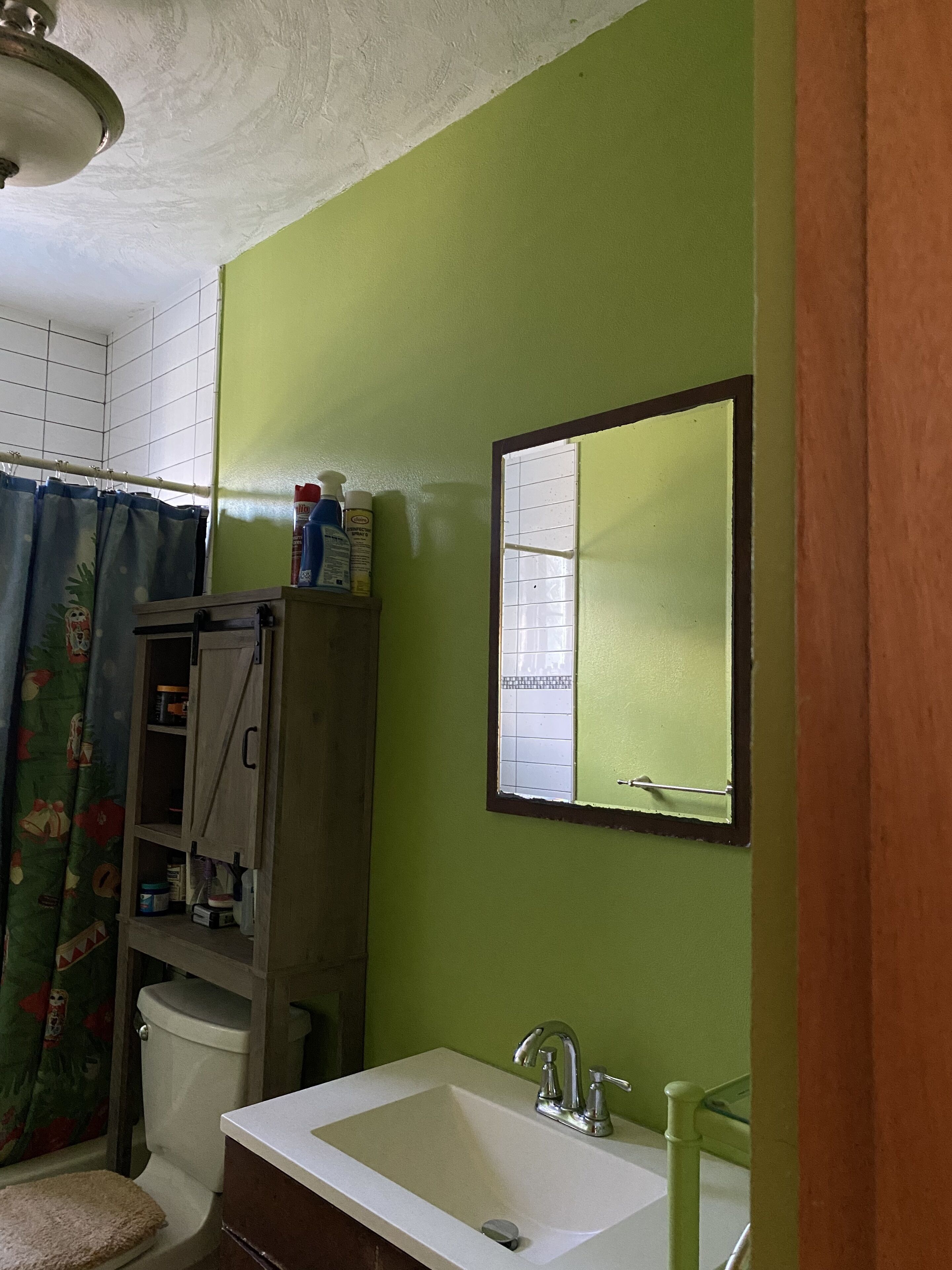 A bathroom with green walls, a white sink, and a mirror.
