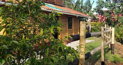 Cabaña en guadua en las montañas de marinilla