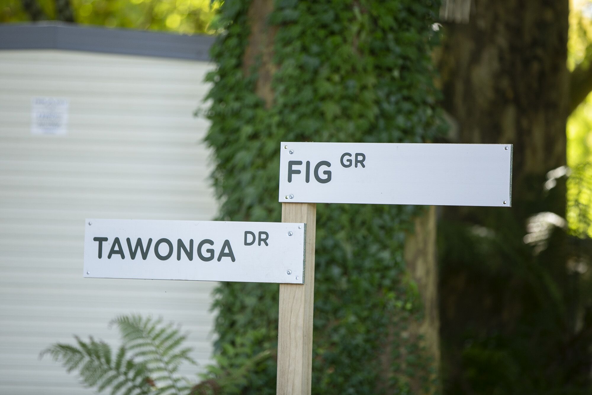 A street sign with 'FIG GR' and 'TAWONGA DR' labels.