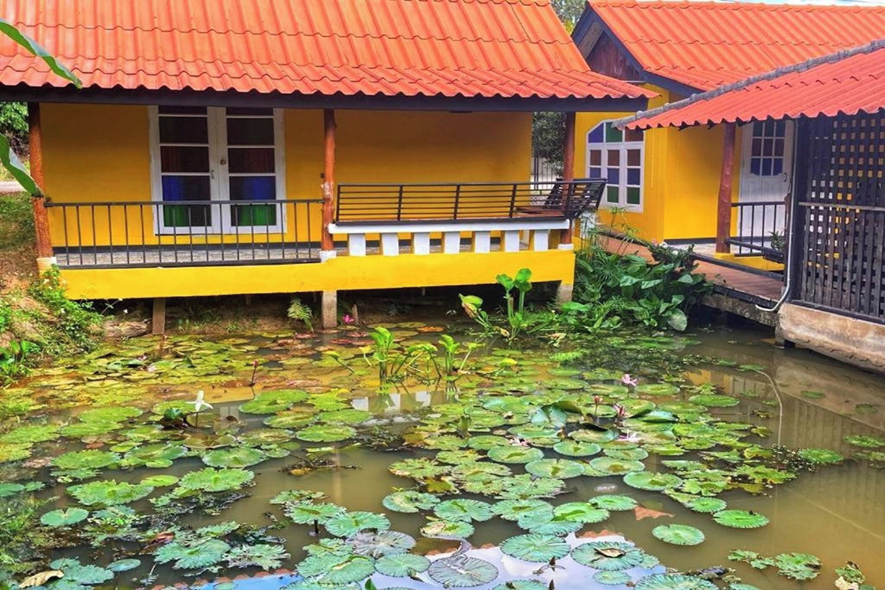 A yellow building with a red roof and a pond with lily pads.