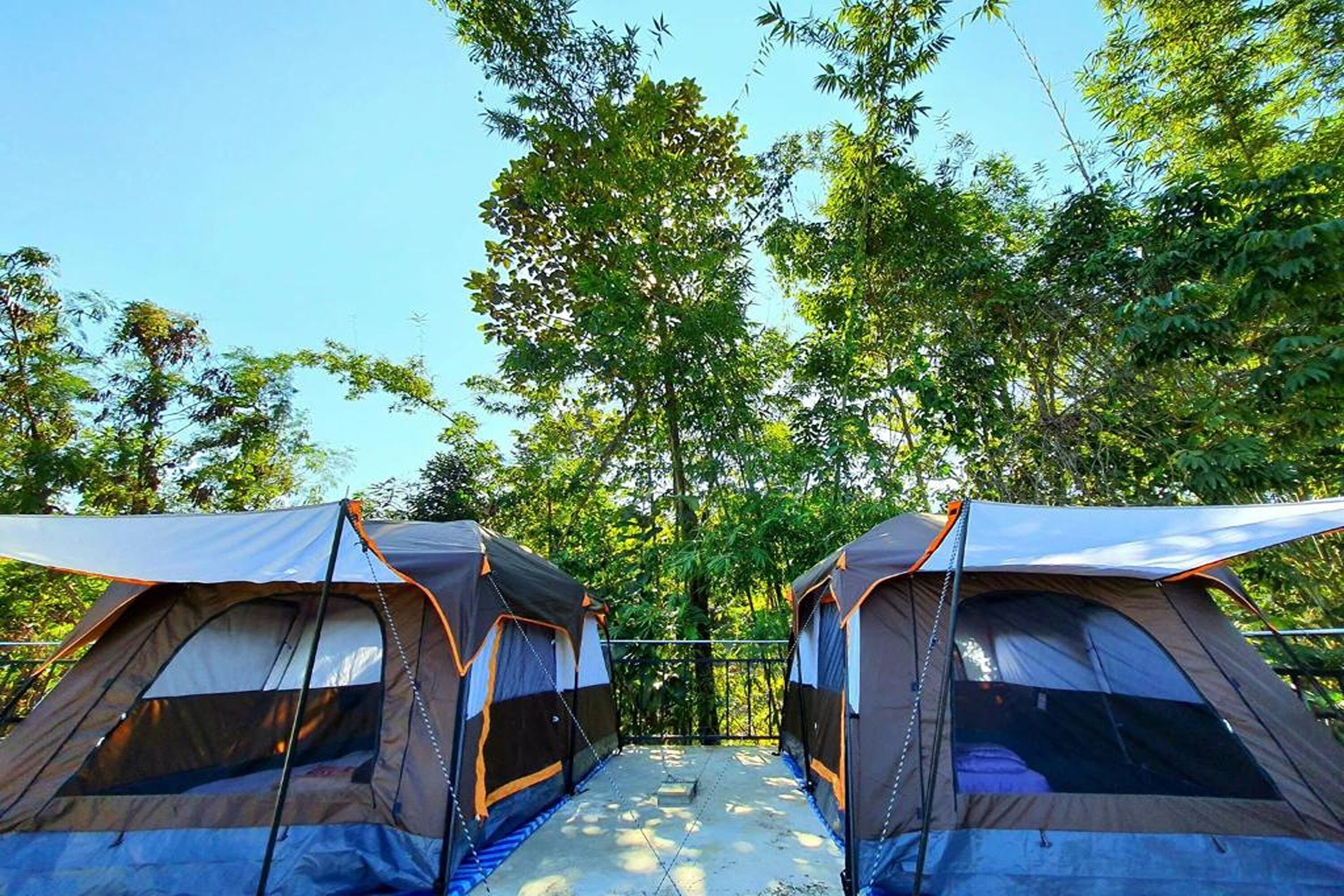 Two camping tents set up in a forested area with a clear sky.