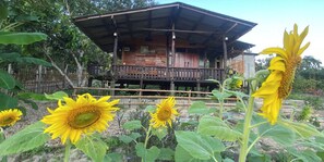 Double Room, Mountain View | Living area | 24-inch LCD TV with cable channels - Nokkamin Home Chiang Dao (Chiang Dao)