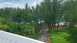 Blick vom Balkon auf eine Straße mit Bäumen und Grün.