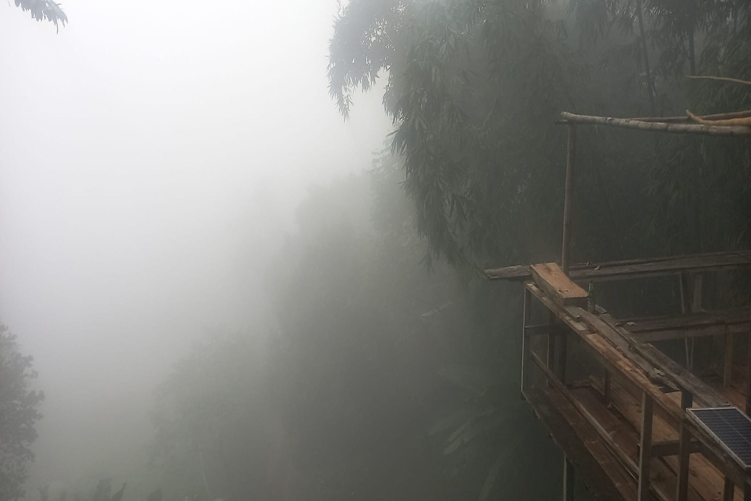 A wooden structure with a solar panel, surrounded by dense fog and trees.