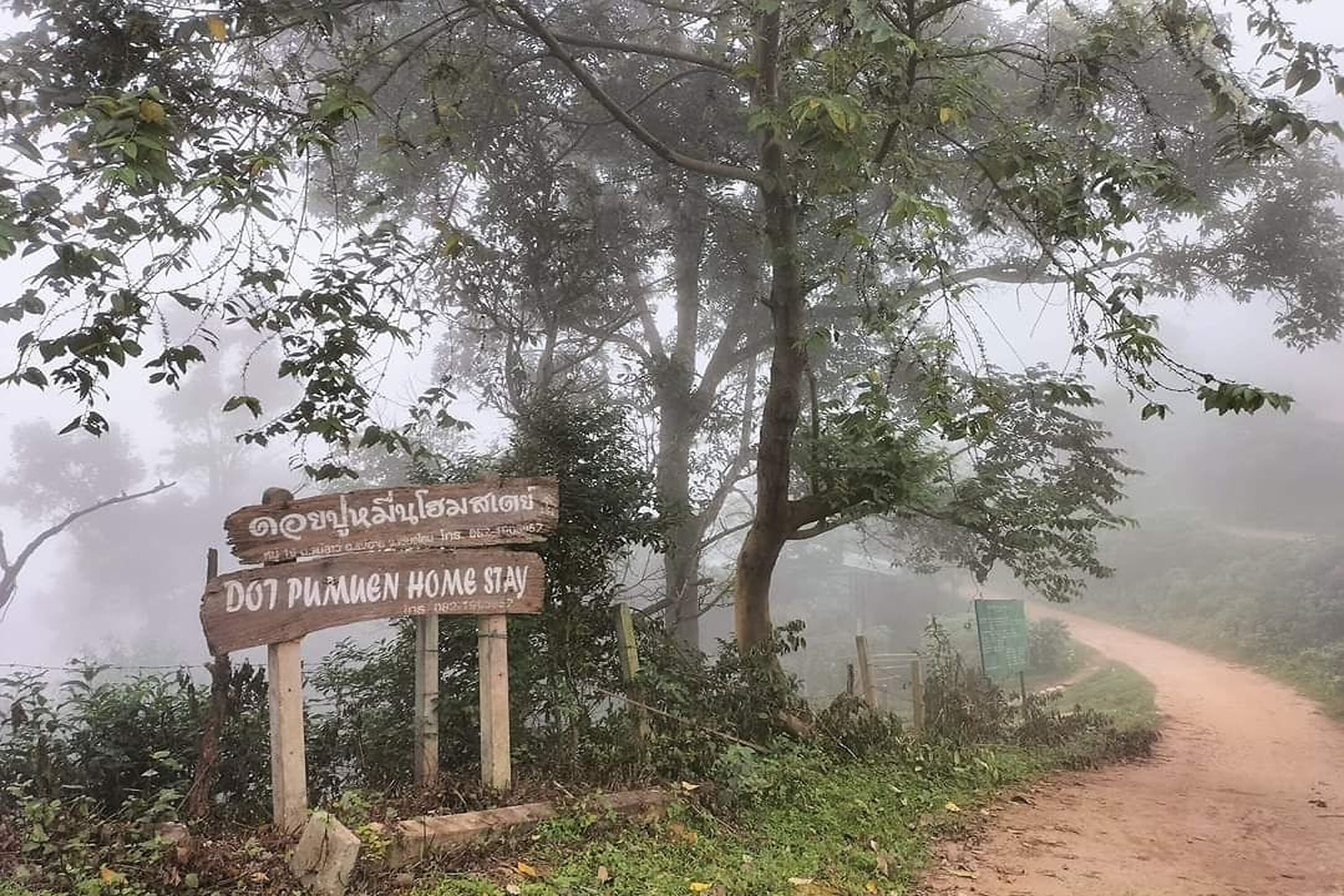 A wooden signpost with text in a non-English script, a dirt path, and a foggy forested area.