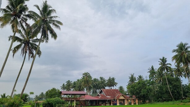 A large, open green field with a rustic building featuring a red roof and wooden structure. - Wafaby Guest House (Payakumbuh)