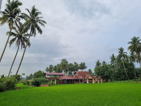Exterior. Wafaby Guest House