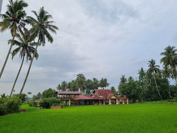 Exterior - Wafaby Guest House (Payakumbuh)