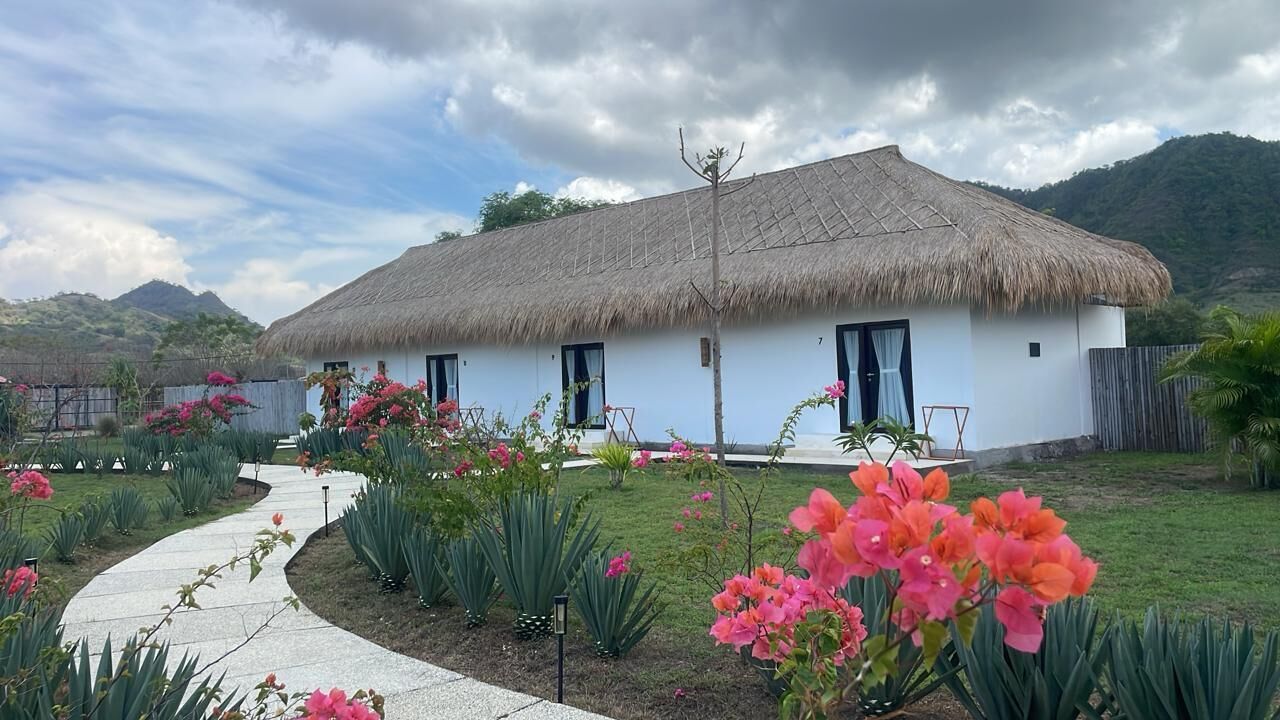 A thatched-roof house with a white exterior, surrounded by a garden with pink flowers and green plants.