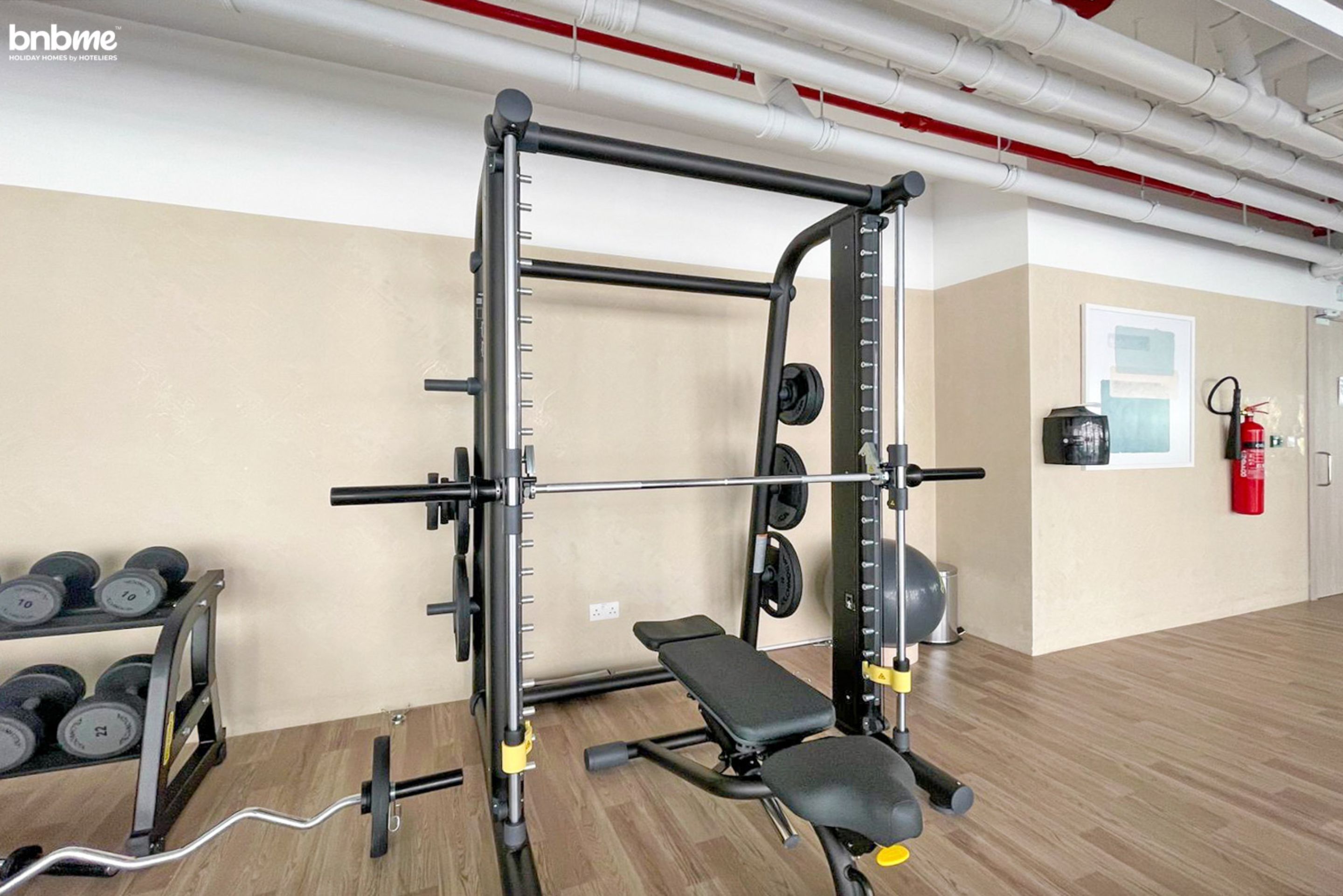 Un gimnasio con una jaula de sentadillas, banco y mancuernas.