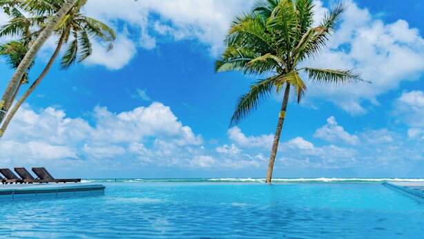 A poolside view with lounge chairs, palm trees, and a clear blue sky. - Amor Beach Unawatuna (Unawatuna)