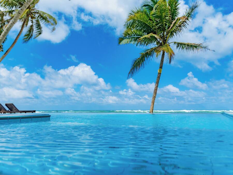 Une vue sur la piscine, avec des chaises longues, des palmiers et un ciel bleu azur.