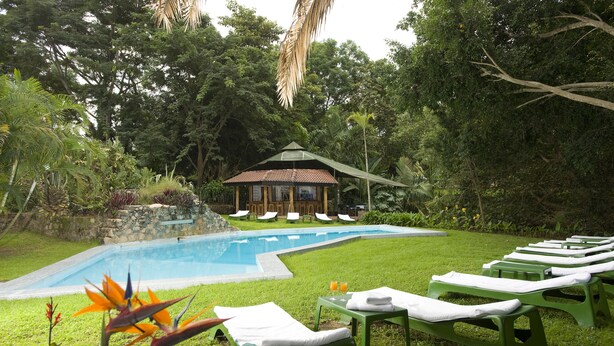 Un área de piscina con sillas de descanso, un pequeño pabellón y vegetación tropical.
